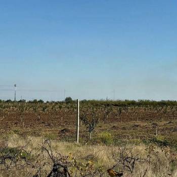 Продается Участок, 29000 м²