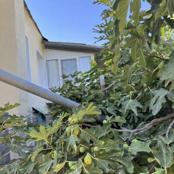 Продается Дом, 81,2 м²