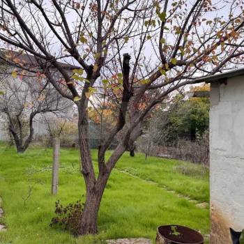 Продается Дом, 55 м²