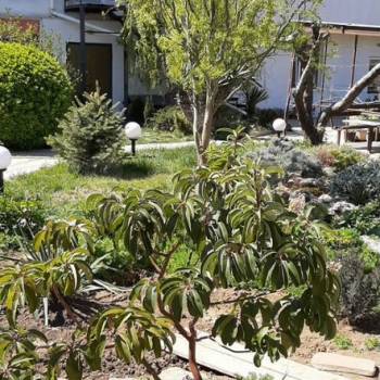 Сдается Комната, 25 м²