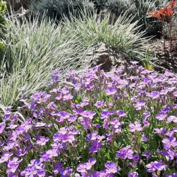 Сдается Комната, 25 м²