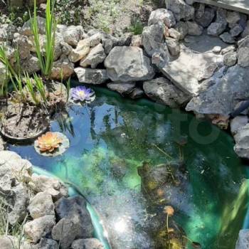 Сдается Комната, 25 м²