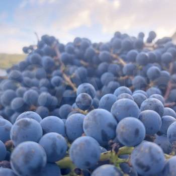 Продается Нежилое помещение, 390 м²