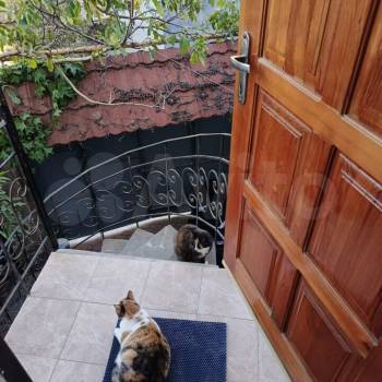 Сдается Дом, 70 м²