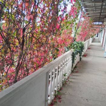 Продается 1-комнатная квартира, 17 м²