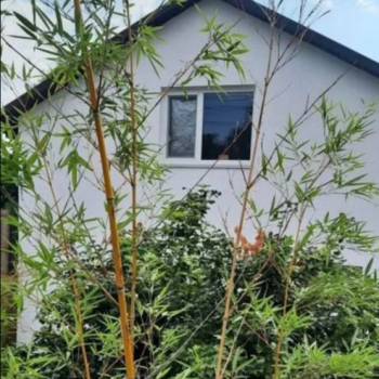 Продается Дом, 100 м²