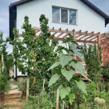 Продается Дом, 100 м²