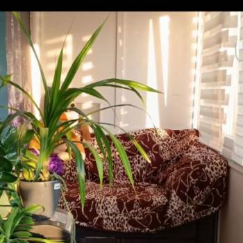 Продается 1-комнатная квартира, 31,5 м²