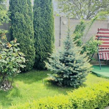 Сдается Дом, 40 м²