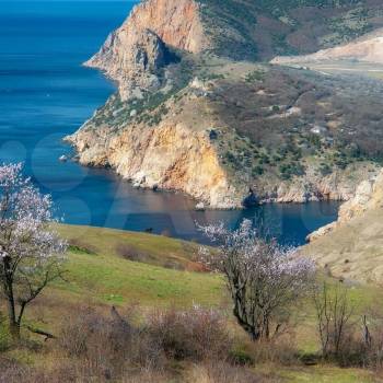 Продается Участок, 800 м²