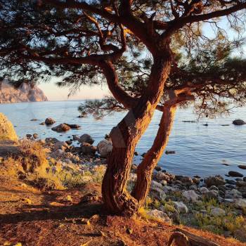 Продается Участок, 800 м²