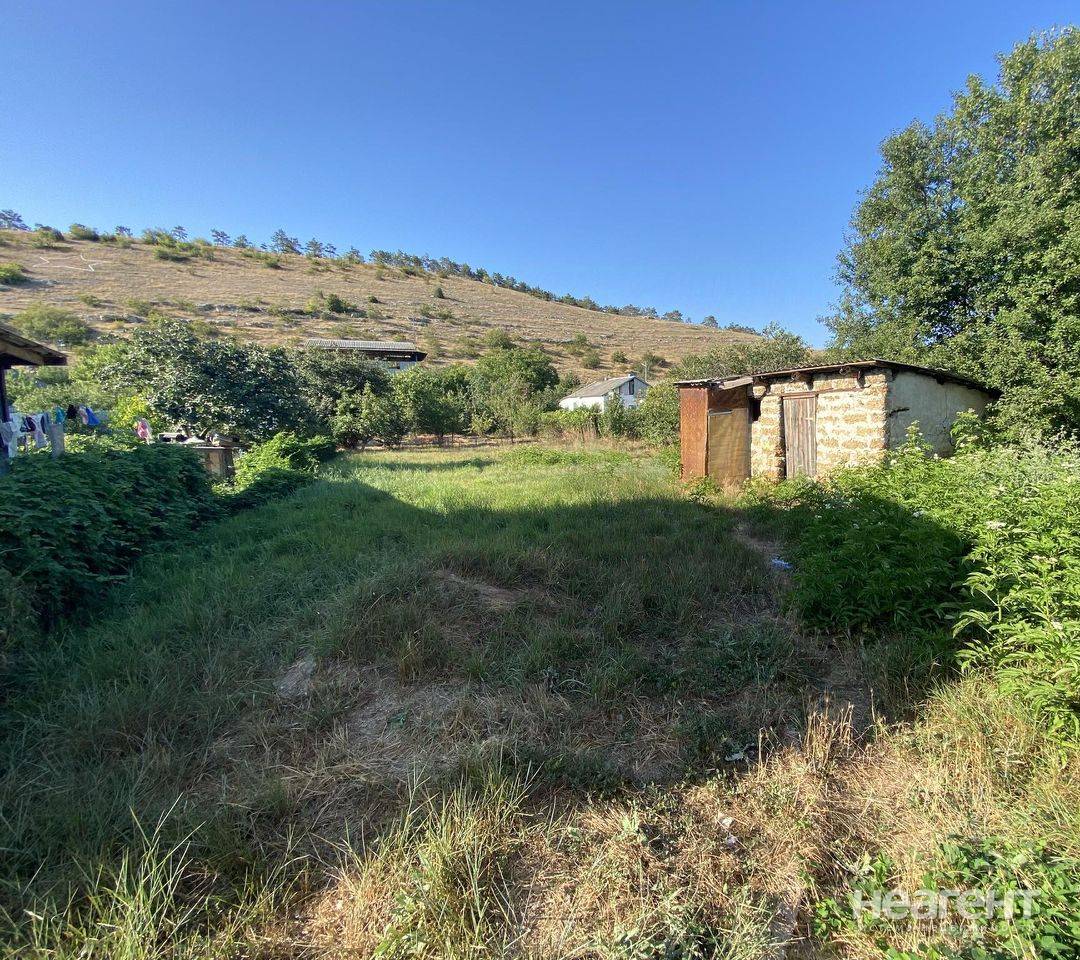 Фотография №2