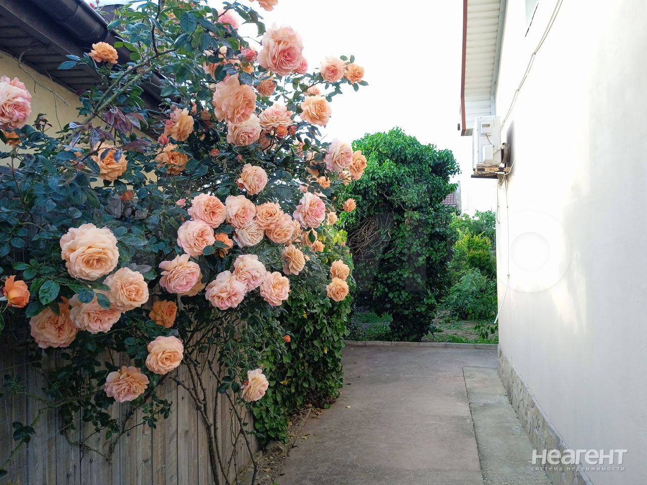 Фотография №5