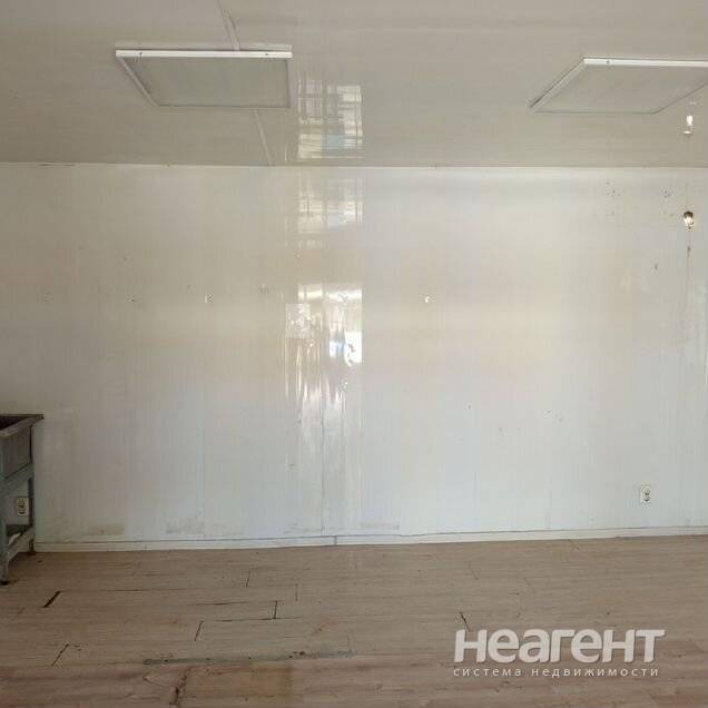 Фотография №4