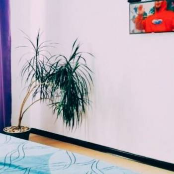 Сдается Комната, 24 м²