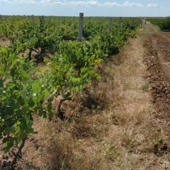 Продается Участок, 270 м²