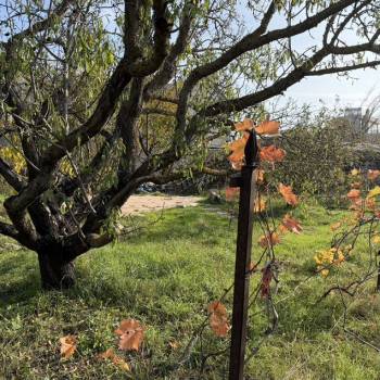 Продается Участок, 600 м²