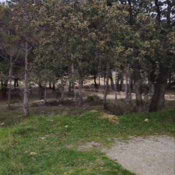 Продается Участок, 840 м²