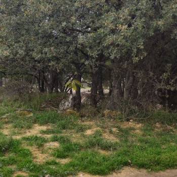 Продается Участок, 840 м²