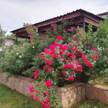 Сдается Дом, 30 м²