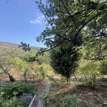 Продается Участок, 450 м²