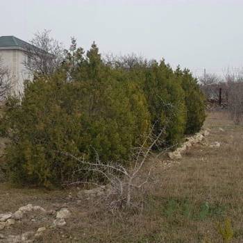 Продается Участок, 824 м²