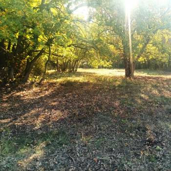 Продается Участок, 5400 м²