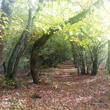 Продается Участок, 5400 м²