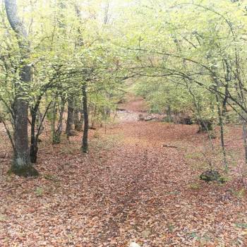 Продается Участок, 5400 м²