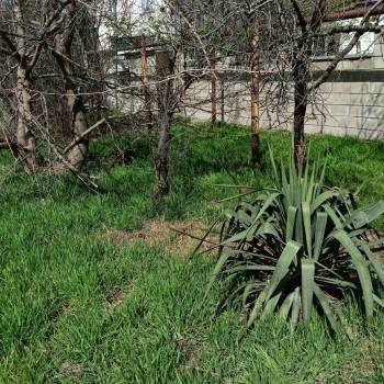 Продается Дом, 67 м²