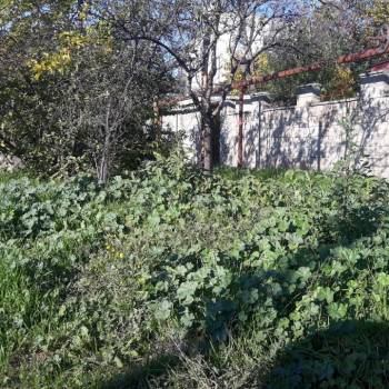 Продается Дом, 67 м²