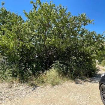 Продается Участок, 650 м²