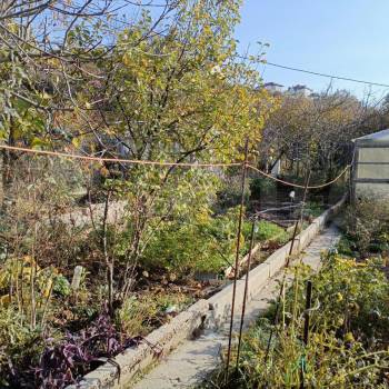 Продается Дом, 20 м²