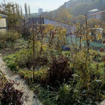 Продается Дом, 20 м²