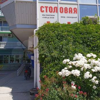 Продается 1-комнатная квартира, 18 м²