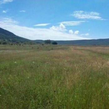 Продается Участок, 25546 м²