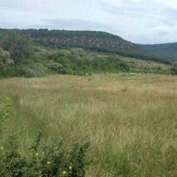 Продается Участок, 25546 м²