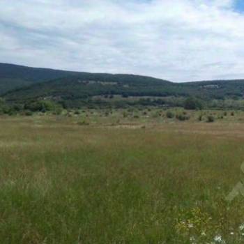 Продается Участок, 25546 м²