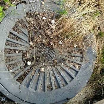 Продается Участок, 440 м²