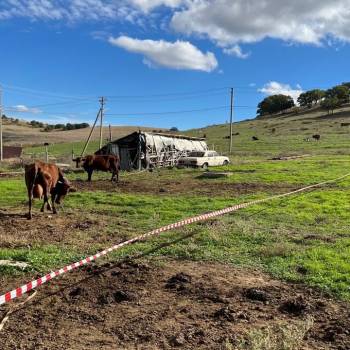 Продается Участок, 800 м²