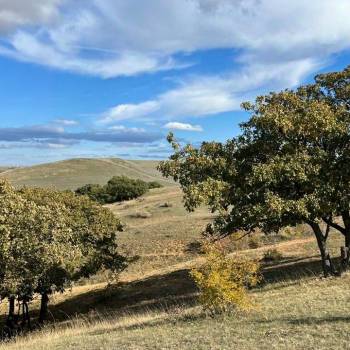 Продается Участок, 800 м²