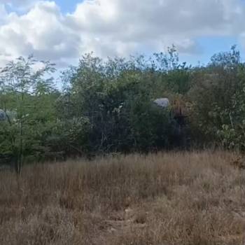 Продается Участок, 900 м²