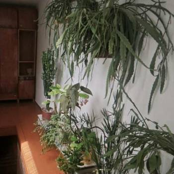 Продается Дом, 159 м²