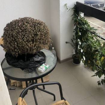 Продается 2-х комнатная квартира, 60 м²