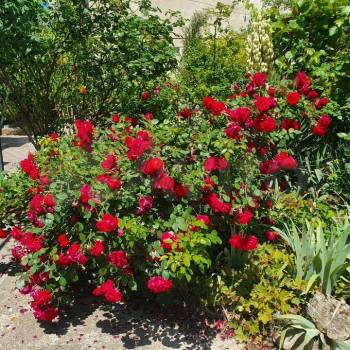 Продается 3-х комнатная квартира, 86 м²