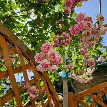 Продается 3-х комнатная квартира, 86 м²