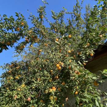 Продается Дом, 67 м²