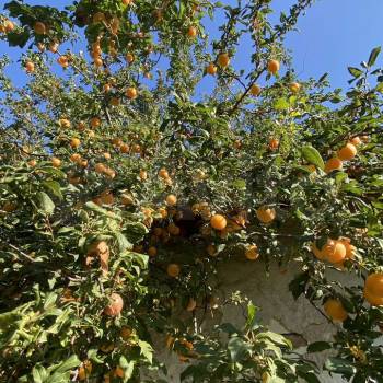 Продается Дом, 67 м²