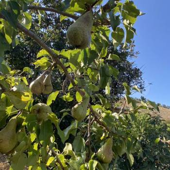 Продается Дом, 67 м²