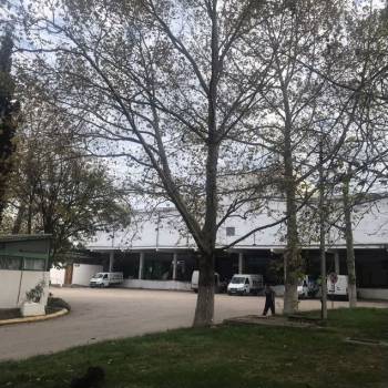 Сдается Нежилое помещение, 100 м²